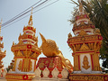 P1030264.jpg