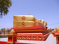 P1030265.jpg
