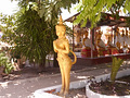 P1030274.jpg