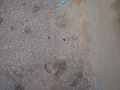P1030357.jpg