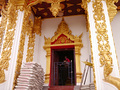 P1030374.jpg