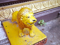 P1030384.jpg