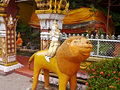 P1030386.jpg