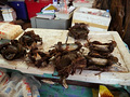 P1030417.jpg