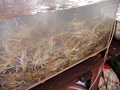 P1030420.jpg