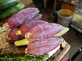 P1030428.jpg
