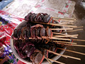 P1030435.jpg