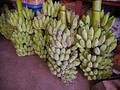 P1030437.jpg