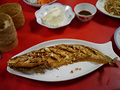 P1030448.jpg