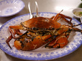 P1030456.jpg