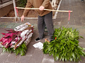 P1040145.jpg