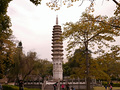 P1040178.jpg