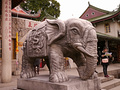 P1040179.jpg
