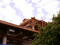 P1040194.jpg