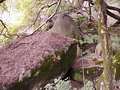 P1040201.jpg