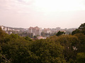 P1040204.jpg