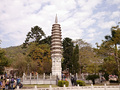 P1040209.jpg
