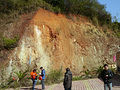 P1040253.jpg