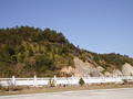 P1040259.jpg