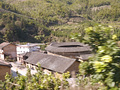 P1040263.jpg
