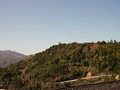 P1040281.jpg