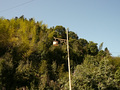 P1040284.jpg