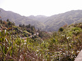 P1040285.jpg