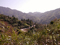 P1040286.jpg