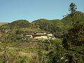 P1040289.jpg