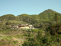P1040290.jpg