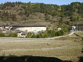 P1040292.jpg