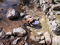P1040294.jpg