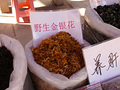 P1040299.jpg