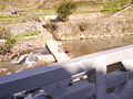 P1040336.jpg