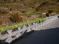 P1040337.jpg