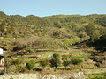P1040341.jpg