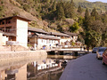 P1040342.jpg