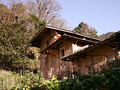 P1040351.jpg