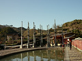 P1040353.jpg