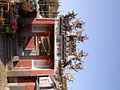 P1040354.jpg