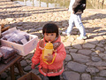 P1040358.jpg