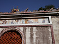 P1040369.jpg