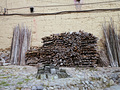 P1040386.jpg