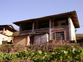 P1040394.jpg