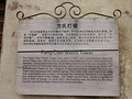 P1040409.jpg
