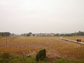 P1040413.jpg