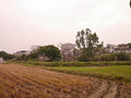 P1040414.jpg