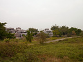 P1040415.jpg