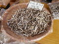 P1040420.jpg