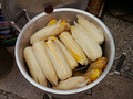 P1040422.jpg